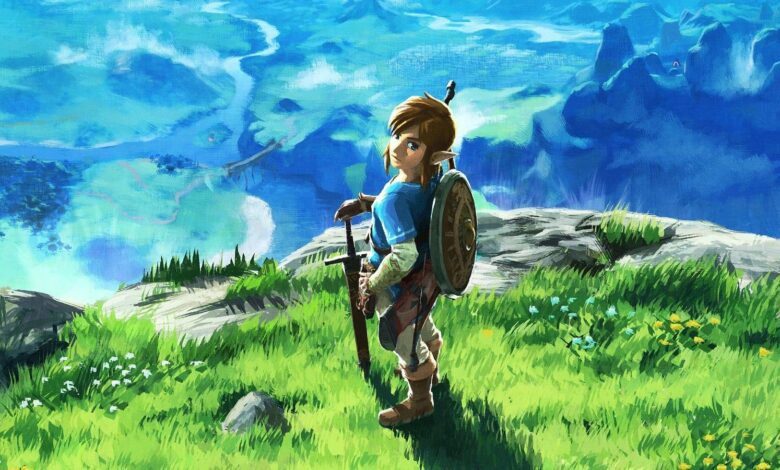 breath of the wild link looking back artwork