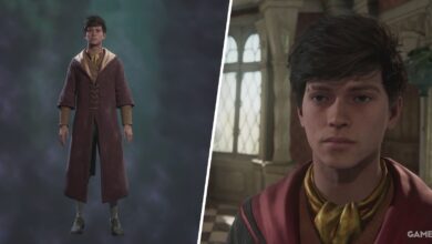 Hogwarts Legacy: How to Change Outfit & Appearance