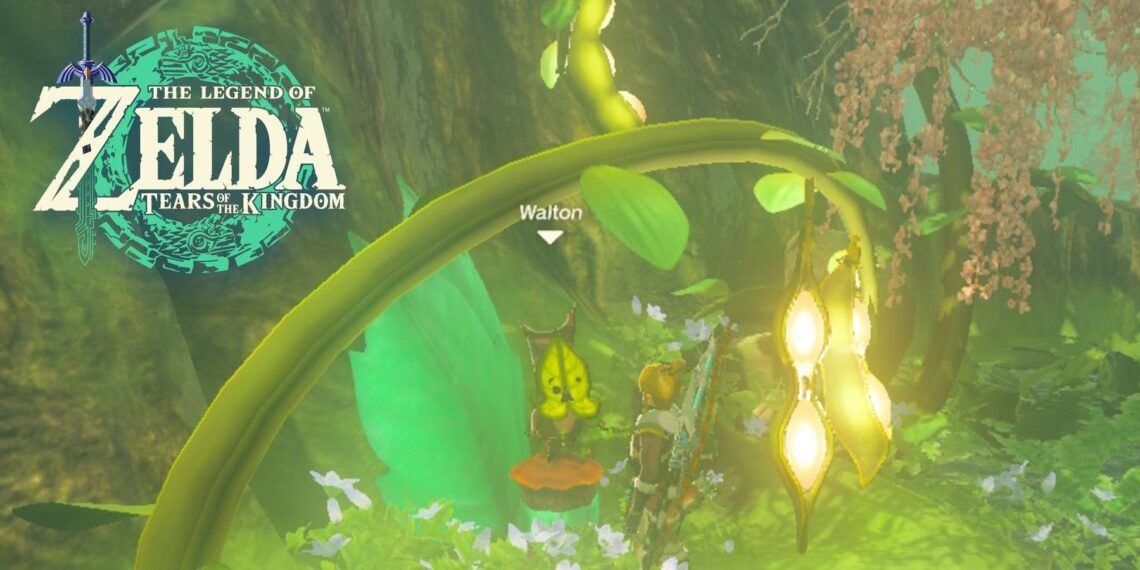 Zelda-Tears-Of-The-Kingdom-Walton-Korok-Quest-01